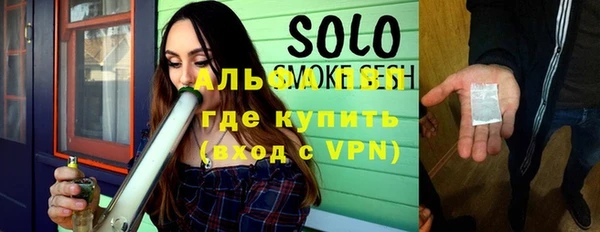 индика Богородицк