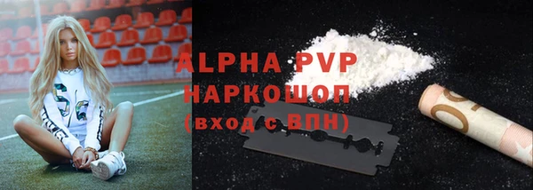 индика Богородицк