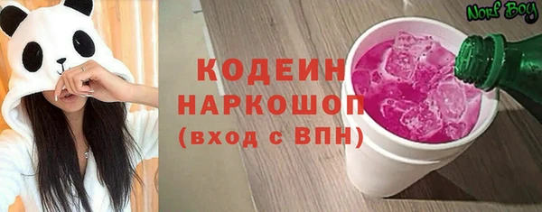 индика Богородицк