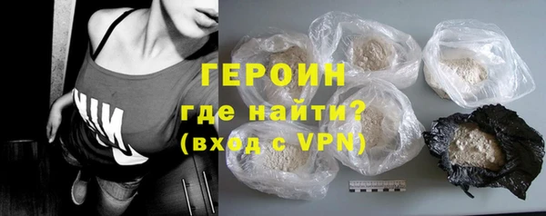 индика Богородицк
