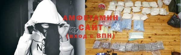ГАЛЛЮЦИНОГЕННЫЕ ГРИБЫ Богданович