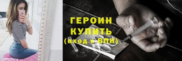 индика Богородицк