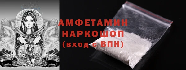 ГАЛЛЮЦИНОГЕННЫЕ ГРИБЫ Богданович