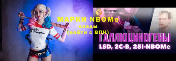 индика Богородицк