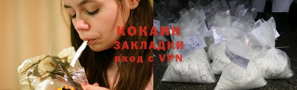 индика Богородицк