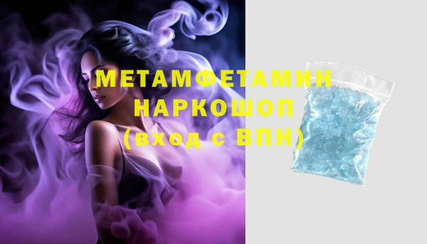 ГАЛЛЮЦИНОГЕННЫЕ ГРИБЫ Богданович