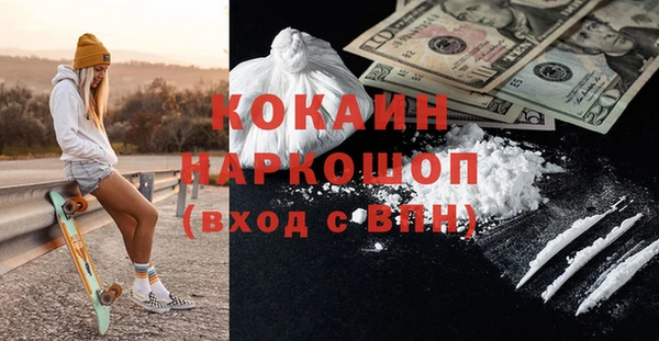 ГАЛЛЮЦИНОГЕННЫЕ ГРИБЫ Богданович