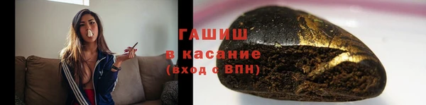 индика Богородицк