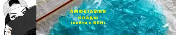 индика Богородицк