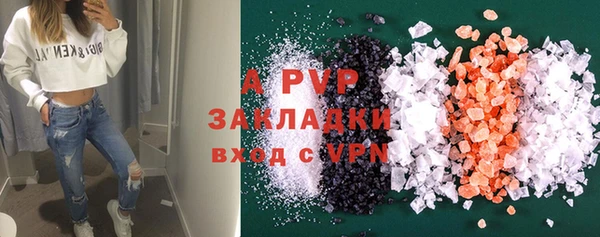 ГАЛЛЮЦИНОГЕННЫЕ ГРИБЫ Богданович