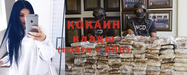 индика Богородицк