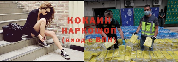 индика Богородицк