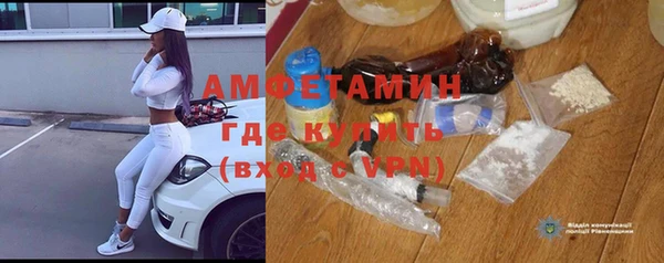 ГАЛЛЮЦИНОГЕННЫЕ ГРИБЫ Богданович