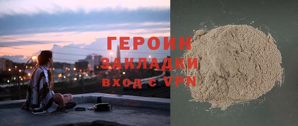 ГАЛЛЮЦИНОГЕННЫЕ ГРИБЫ Богданович