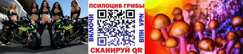 МЕГА вход  Бодайбо  Псилоцибиновые грибы GOLDEN TEACHER 